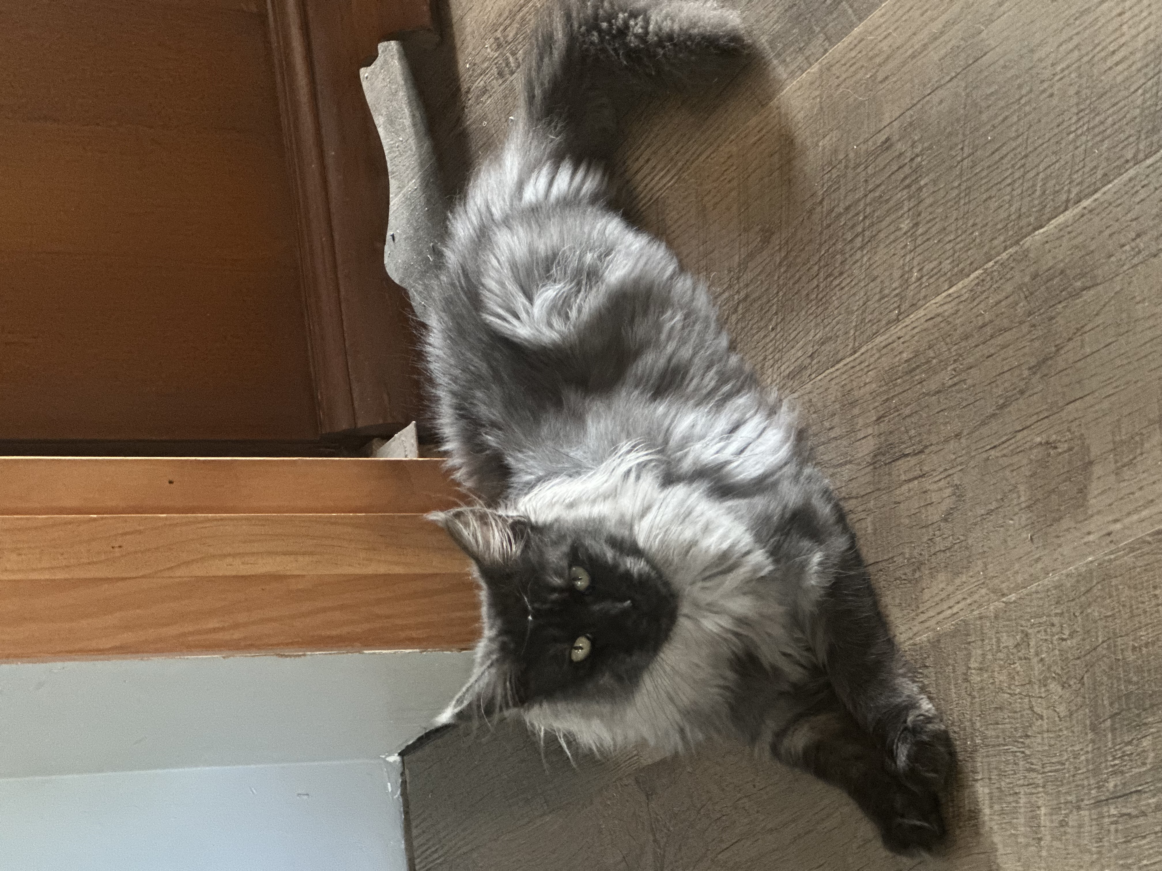 Stormy